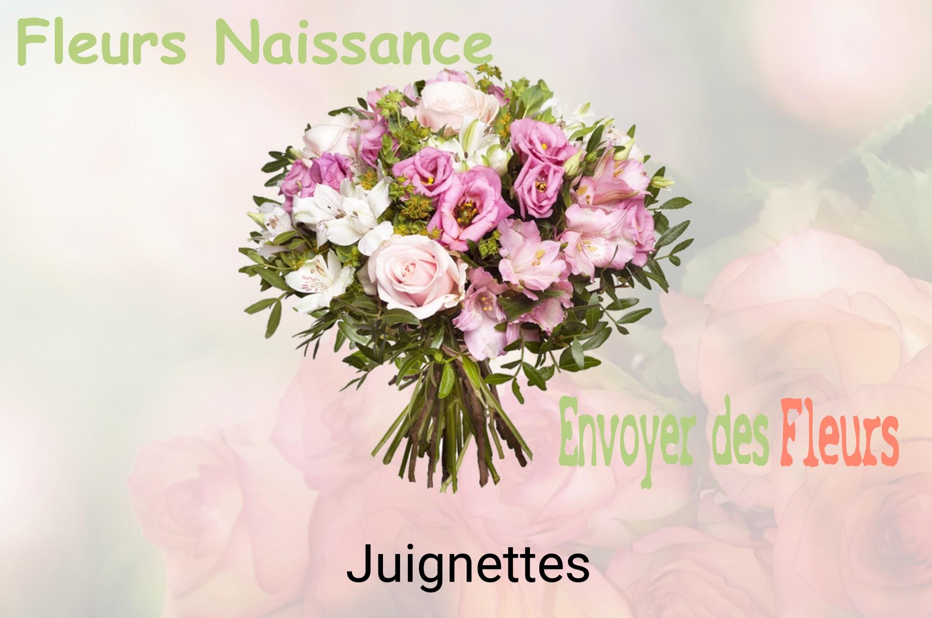Bouquet de fleurs de naissance livré à Juignettes