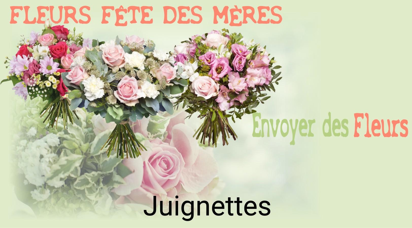 Bouquet de Fête des Mères livré à Juignettes